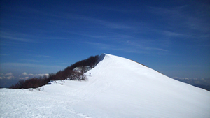 Alta via dei monti liguri, Monte Gottero   (2009)   (foto Giorgio Pagano)